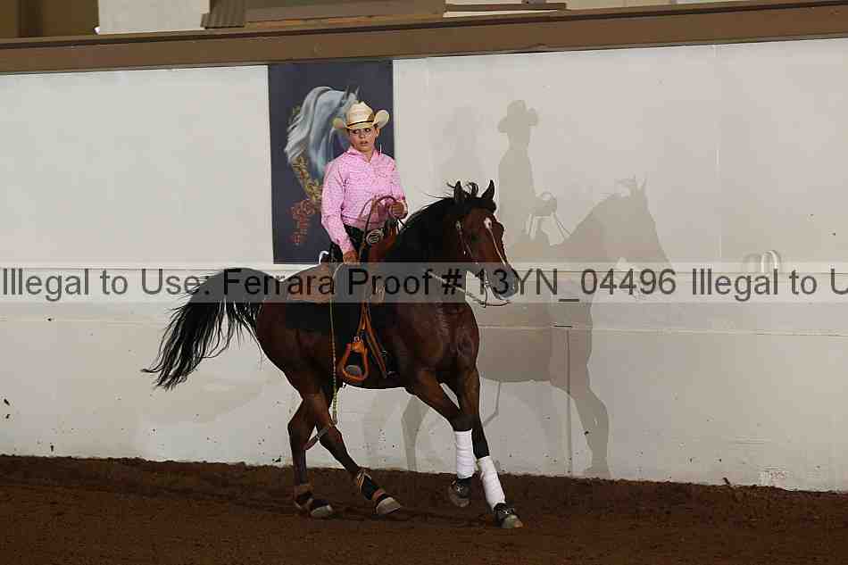 Proof 13yn_04496