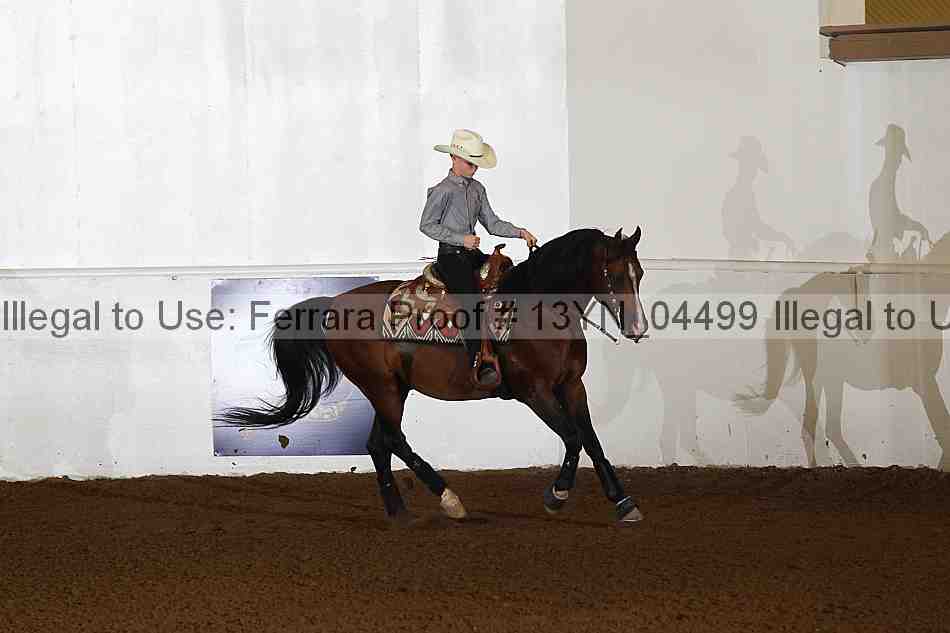 Proof 13yn_04499