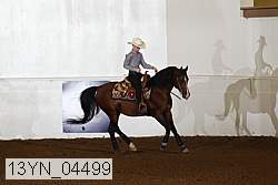 13yn_04499 proof