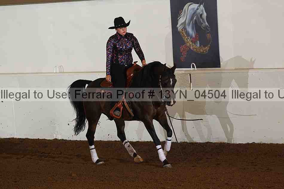 Proof 13yn_04504