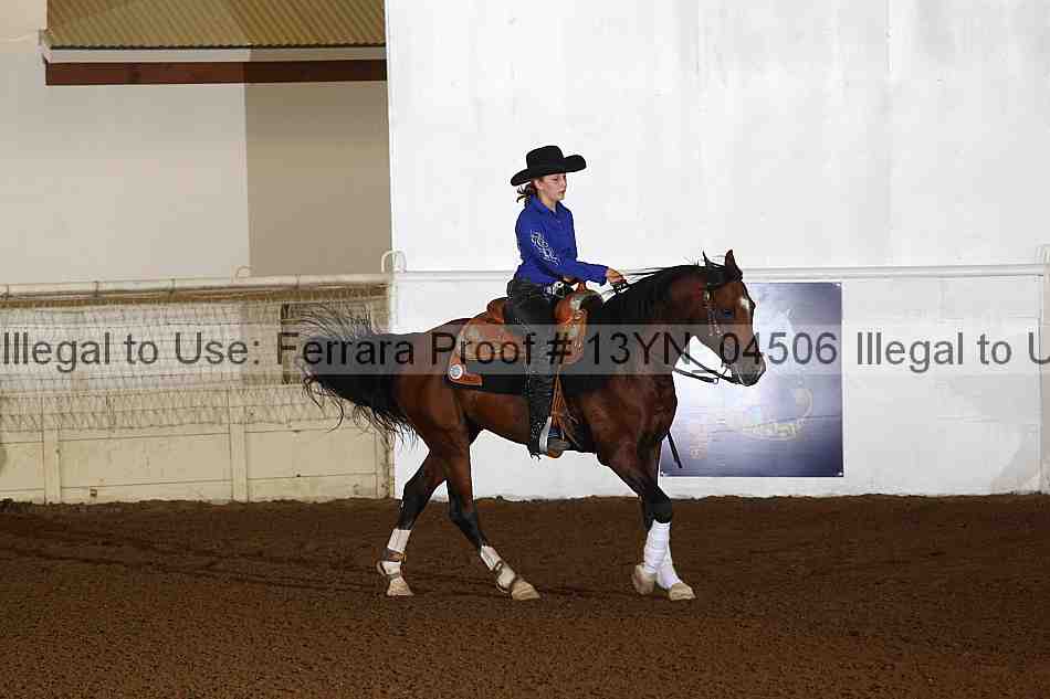 Proof 13yn_04506