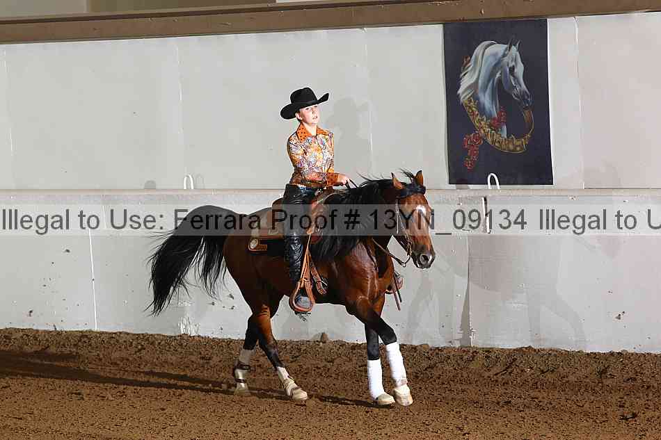 Proof 13yn_09134