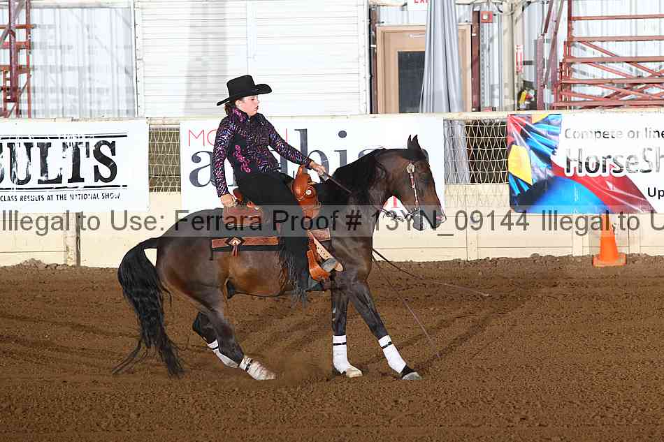 Proof 13yn_09144