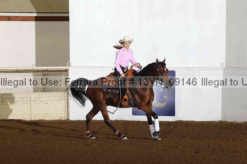 Proof 13yn_09146
