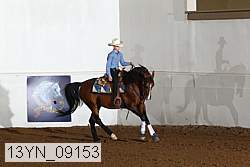 13yn_09153 proof