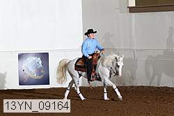 13yn_09164 proof