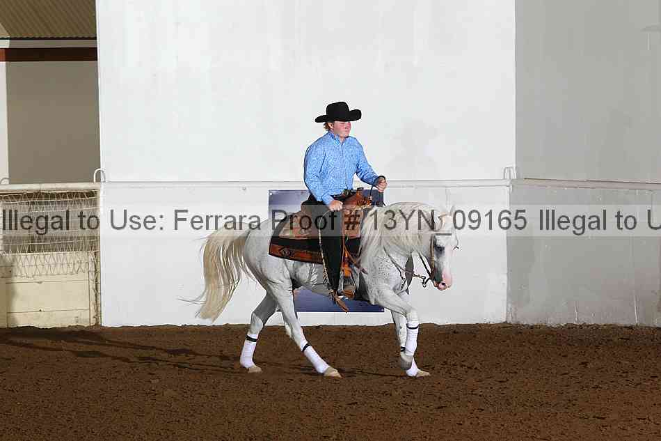 Proof 13yn_09165