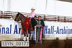 13yn_09177 proof