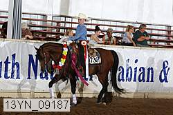 13yn_09187 proof