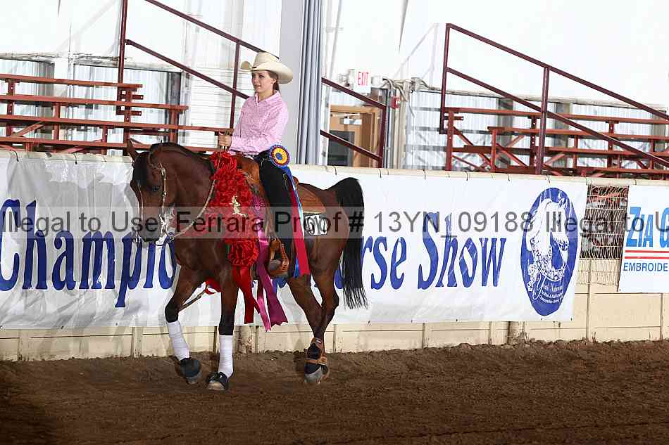 Proof 13yn_09188