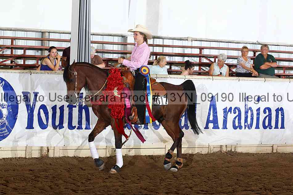 Proof 13yn_09190