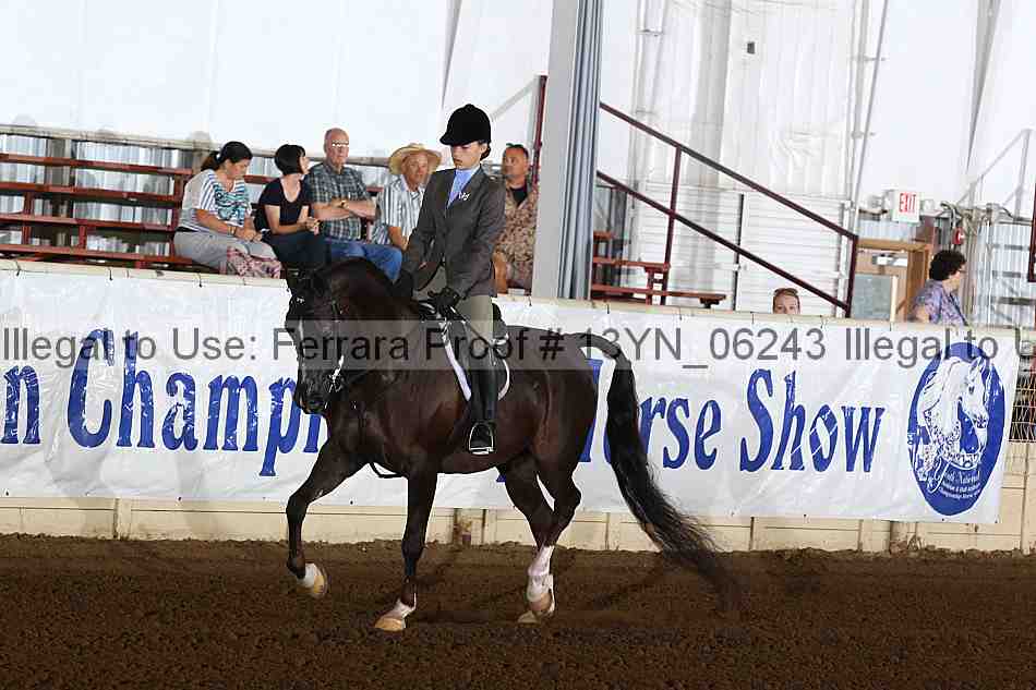 Proof 13yn_06243
