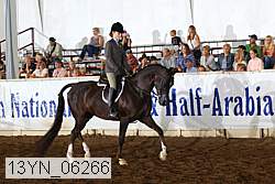 13yn_06266 proof