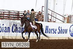 13yn_06288 proof