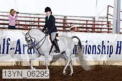13yn_06295 proof