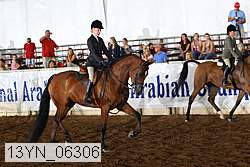 13yn_06306 proof