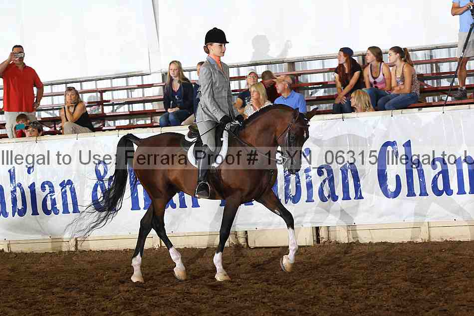 Proof 13yn_06315