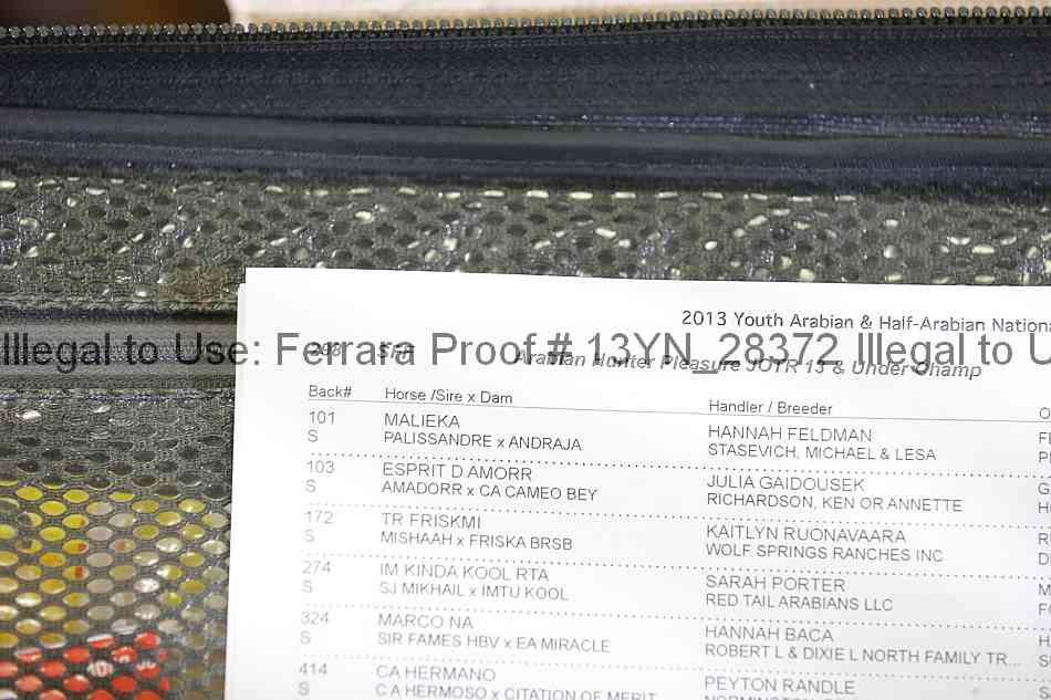 Proof 13yn_28372