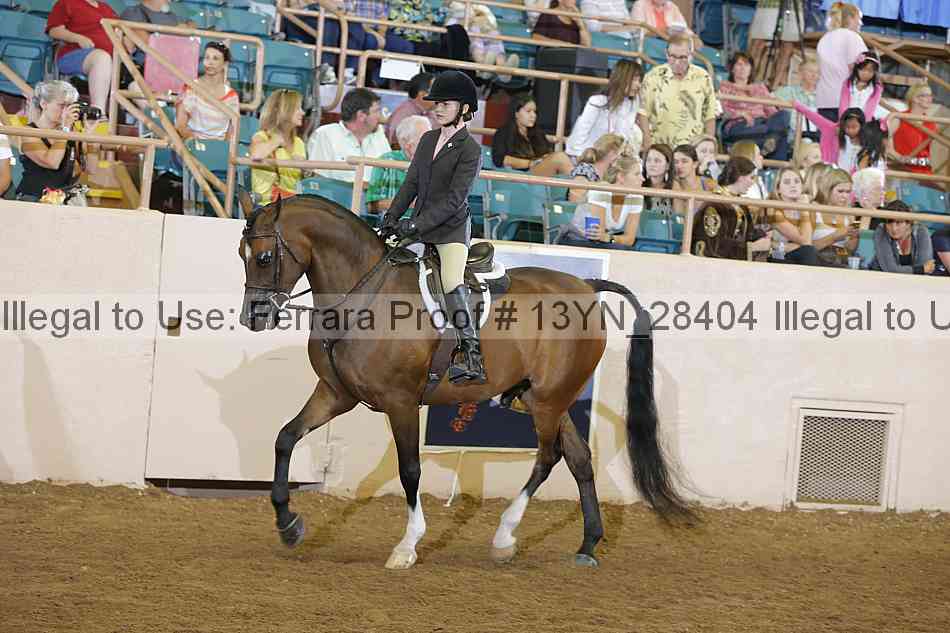 Proof 13yn_28404