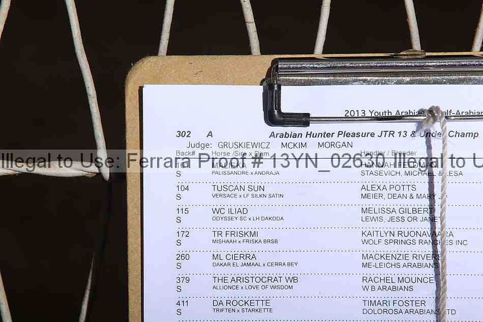 Proof 13yn_02630