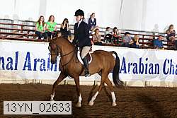 13yn_02633 proof