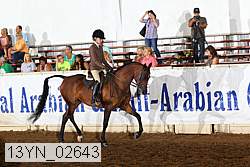 13yn_02643 proof