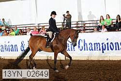 13yn_02649 proof