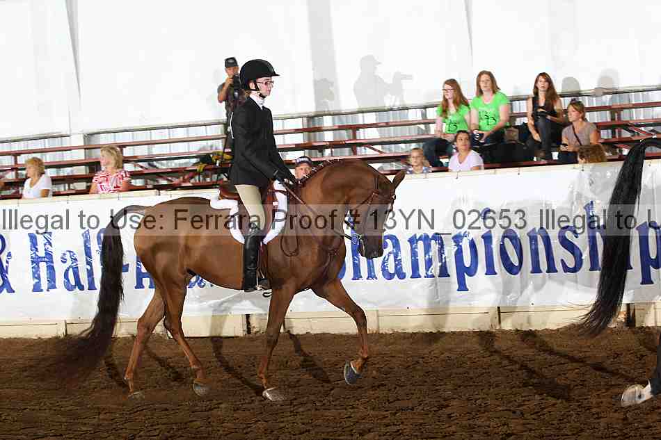 Proof 13yn_02653