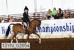 13yn_02654 proof