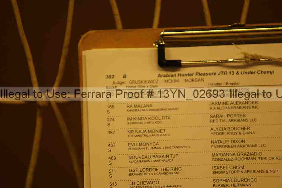 Proof 13yn_02693