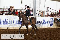 13yn_02697 proof