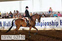 13yn_02710 proof
