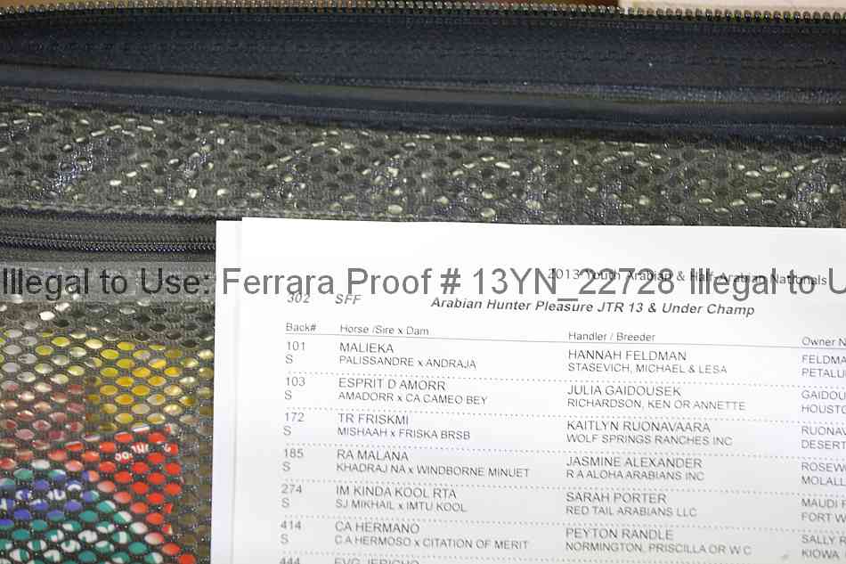 Proof 13yn_22728