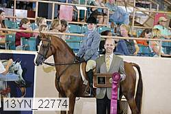 13yn_22774 proof