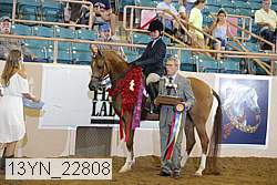 13yn_22808 proof