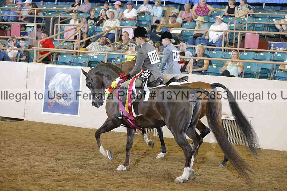 Proof 13yn_22853