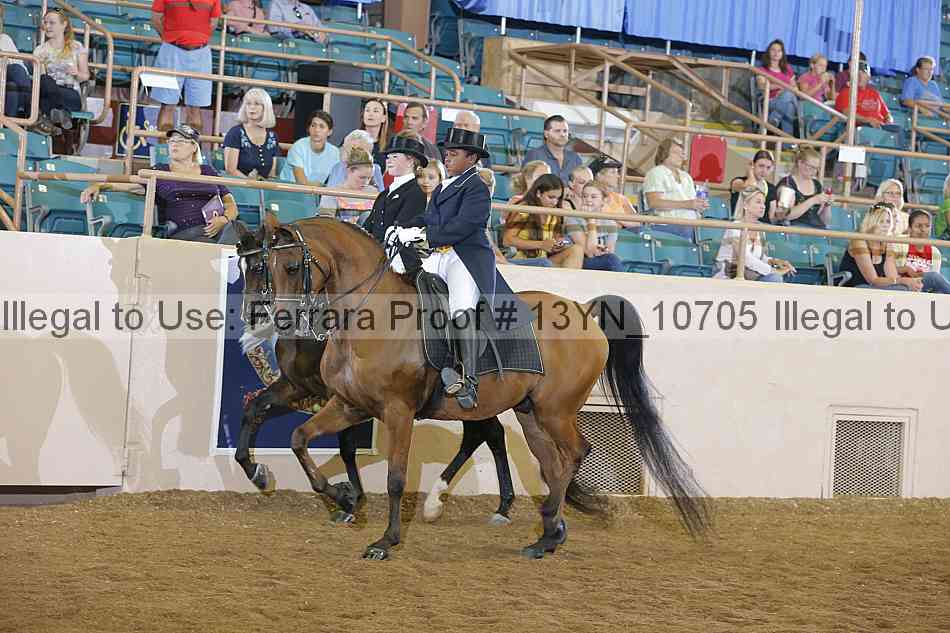 Proof 13yn_10705
