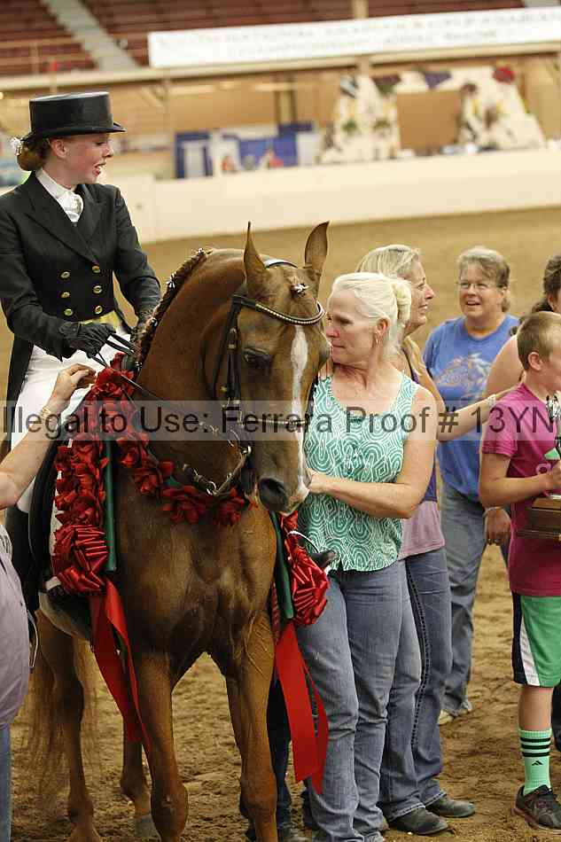 Proof 13yn_10791
