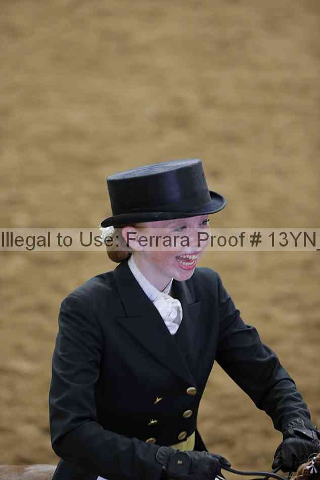 Proof 13yn_10843