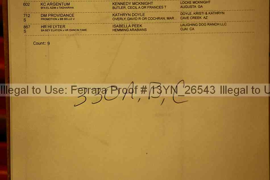 Proof 13yn_26543