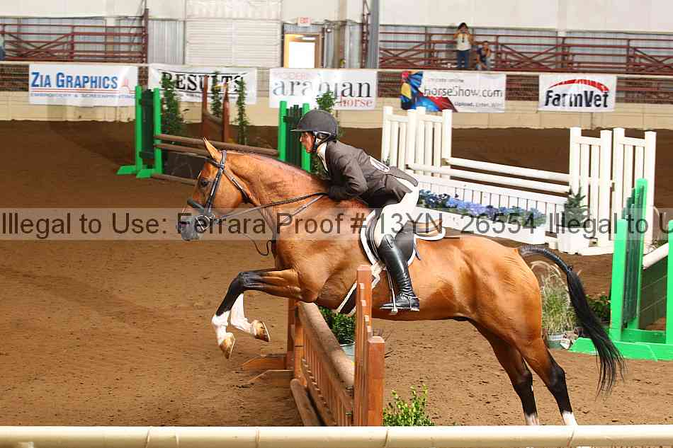 Proof 13yn_26554
