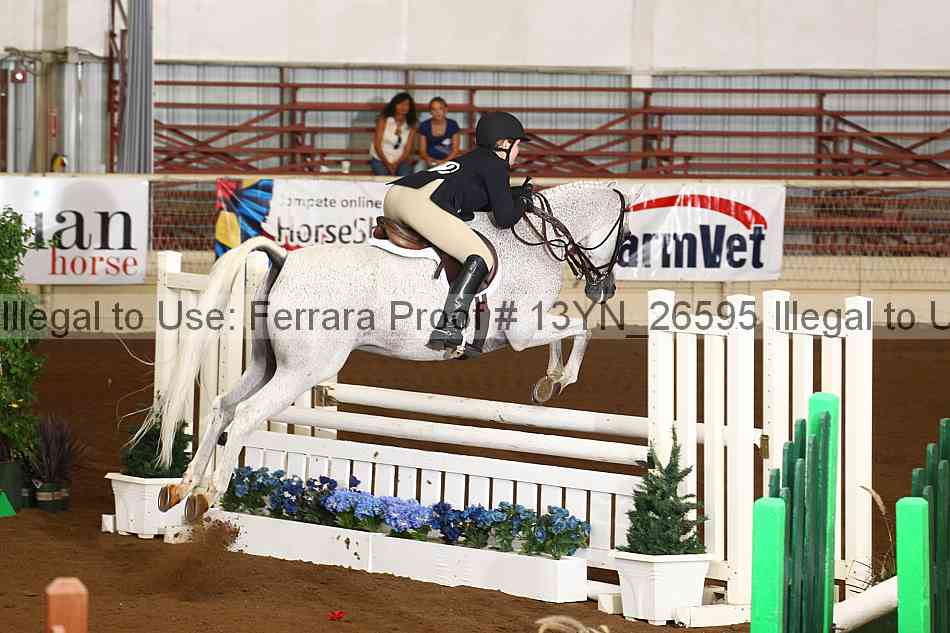 Proof 13yn_26595