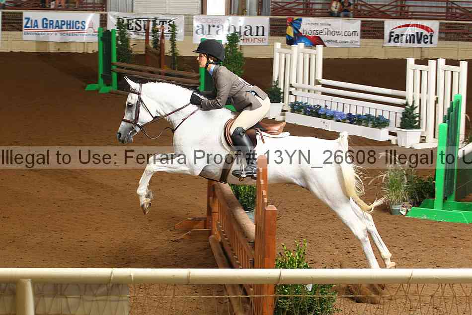 Proof 13yn_26608