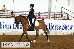 13yn_12053 proof