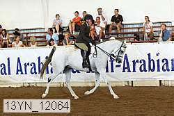 13yn_12064 proof