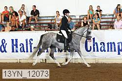13yn_12073 proof