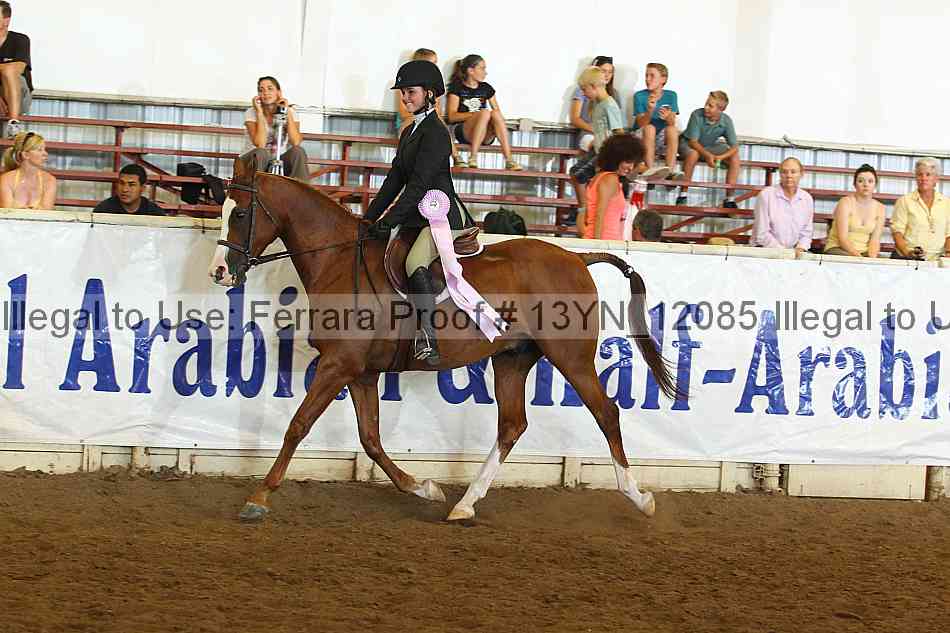 Proof 13yn_12085