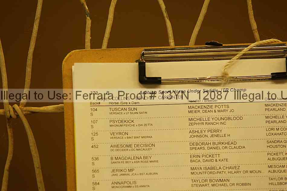 Proof 13yn_12087