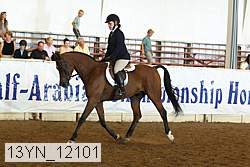13yn_12101 proof