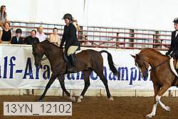 13yn_12102 proof